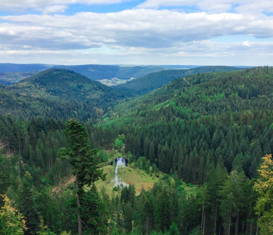 Kraehenbad Hotel Alpirsbach Zewnętrze zdjęcie