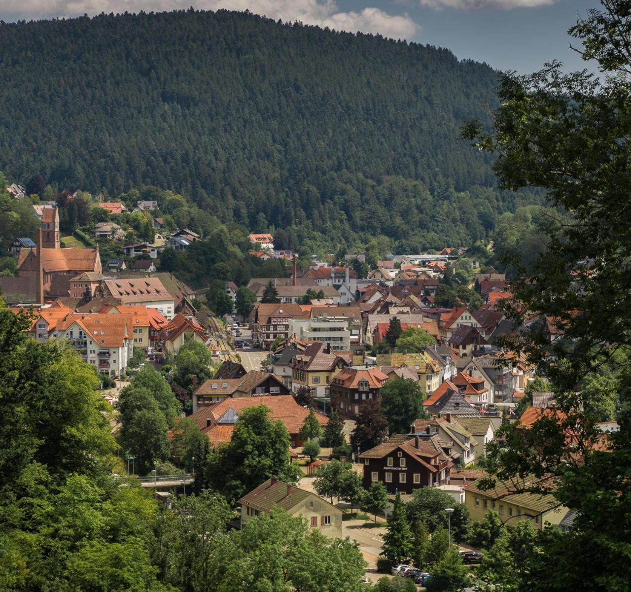 Kraehenbad Hotel Alpirsbach Zewnętrze zdjęcie
