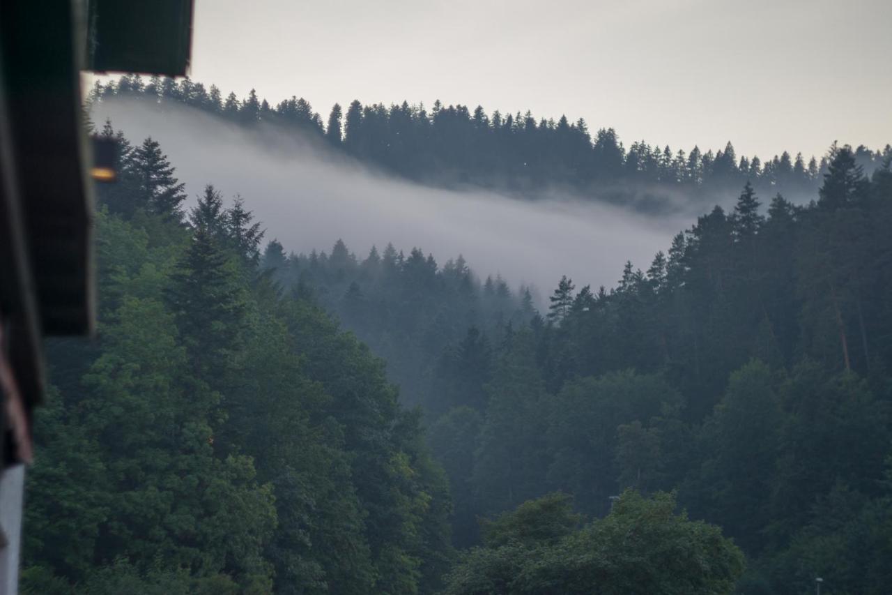 Kraehenbad Hotel Alpirsbach Zewnętrze zdjęcie
