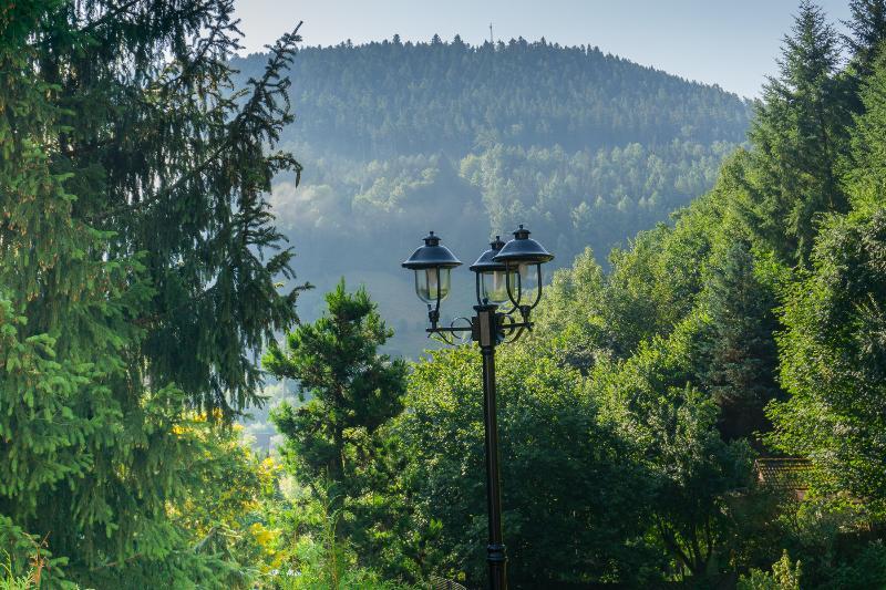 Kraehenbad Hotel Alpirsbach Zewnętrze zdjęcie